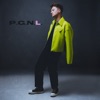 Icon P.G.N.L. - Single