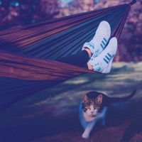 After 9 to 5 - Single - Sleeper Toons