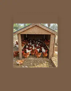 Hör dir Chuckles McSpleen an, schau dir Musikvideos an, lies die Biografie, finde Tourdaten und mehr!