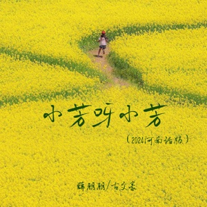小芳呀小芳 (2024河南话版) - Single