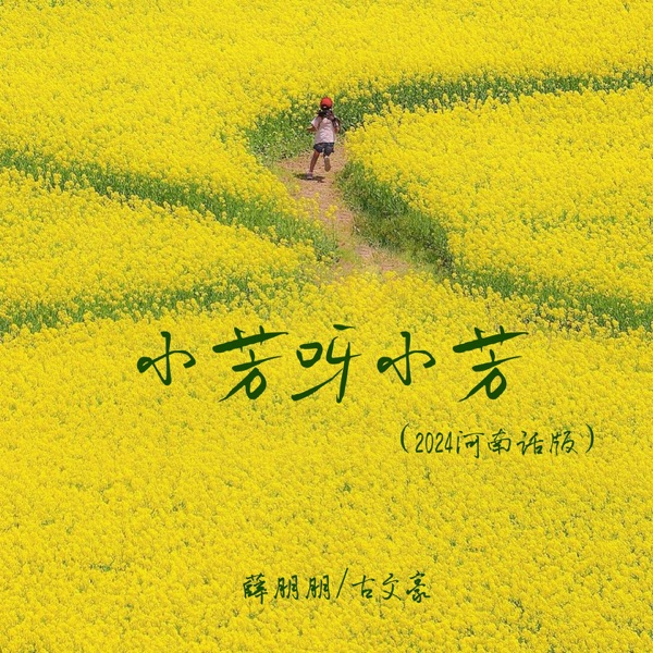小芳呀小芳 (2024河南话版) - Single