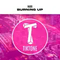 Burning Up