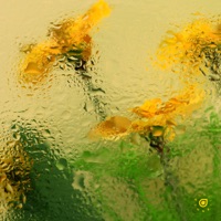 See You - Single - Farves & Duce