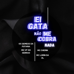 Ei Gata Não Me Cobra Nada (feat. Mc VF do Serrão)