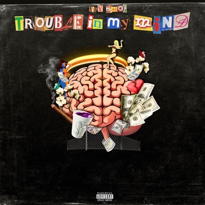 Trouble In My Mind - Single
