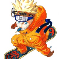 Z3NN_FLOW - Single - Brown_buddha