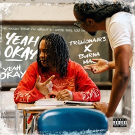 Still Going Hard Trillionair3 & Burna Mac