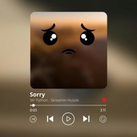 Sorry (feat. Skreamin Hussle) [Radio Edit] - Single - Mr Python