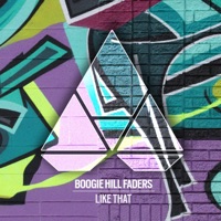 Like That - Single - Boogie Hill Faders