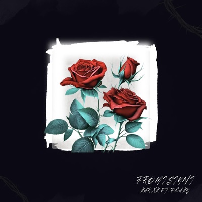 Promisiuni (feat. Peaky futures) - Single