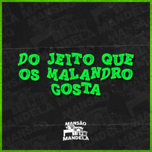 Do Jeito Que os Malandro Gosta