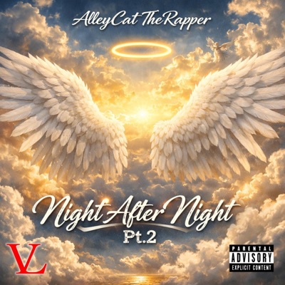 Night After Night Pt. 2 - Single