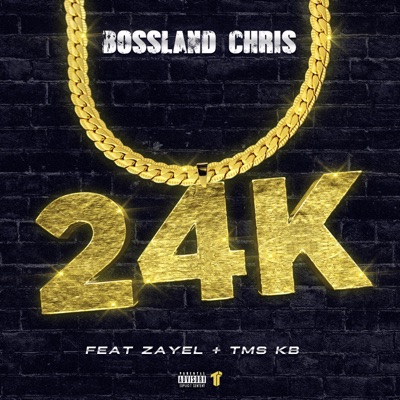 24k (feat. Zayel & TMS KB) - Single