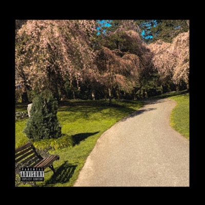 No Hay. (feat. Rodry Yellowzs & STFNO) - Single