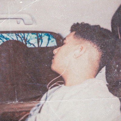 goodbye (feat. Ferufy & sbastin) - Single