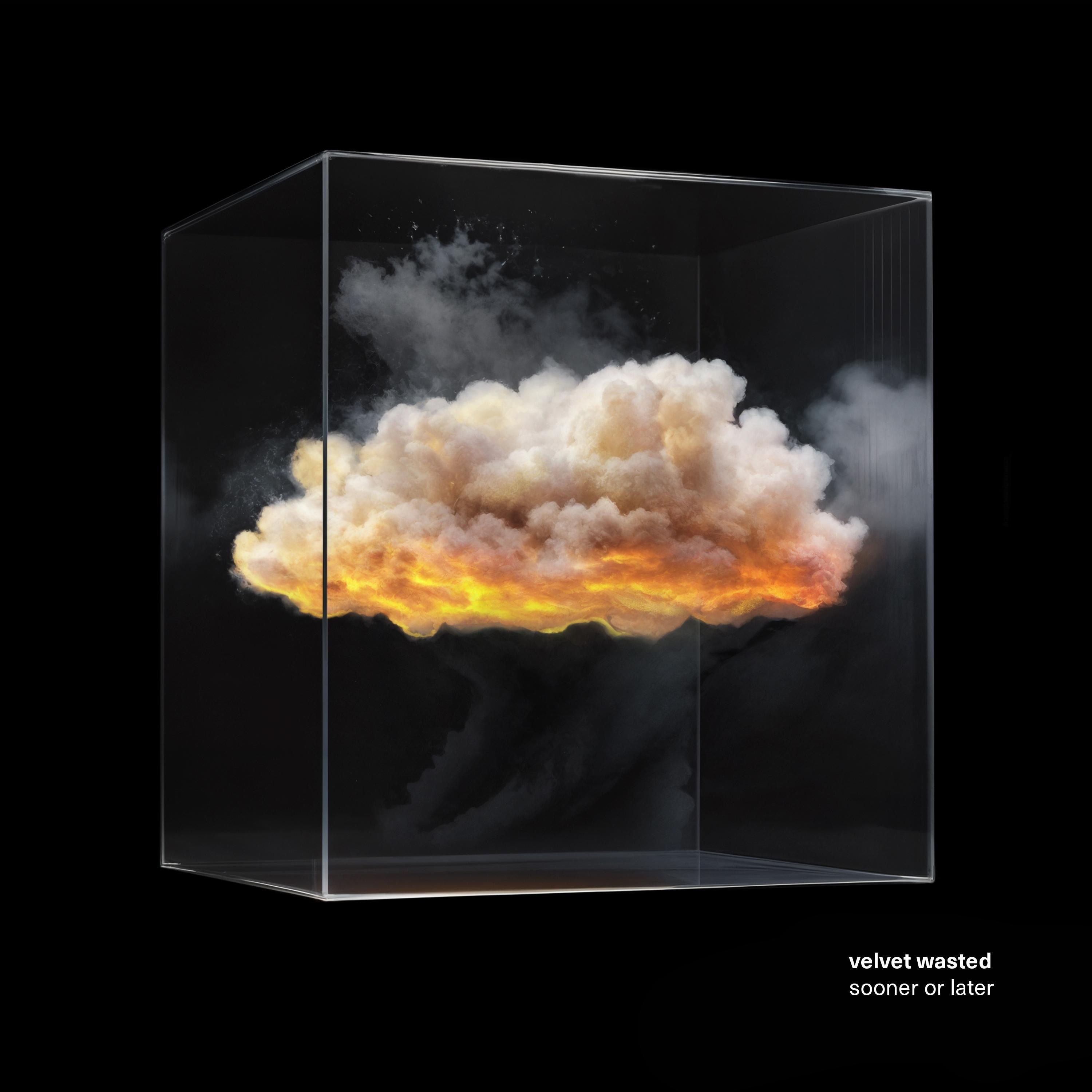 Sooner Or Later - Single