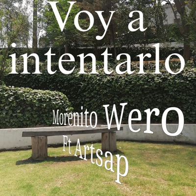 Voy a intentarlo (feat. Artsap) - Single