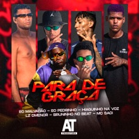 Para de Graça (feat. Bruninho no Beat, Hiaguinho na Voz & Eo Pedrinho) - Single - Lz Dmenor, Eo Malvadão & MC Saci