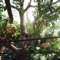 Good Love (feat. Emily Kokal) - AF13, Jeff Kite & Tin Man lyrics