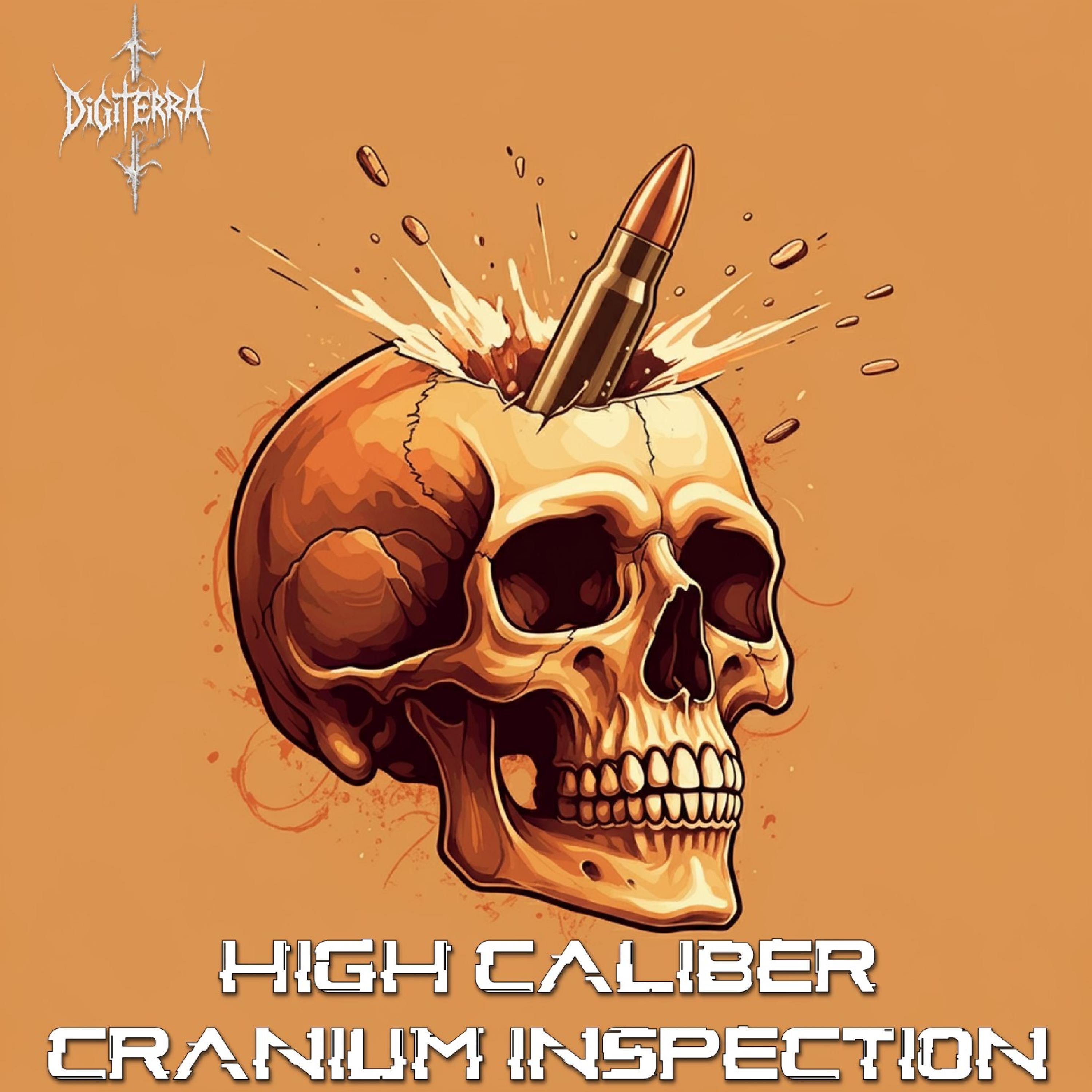 High Caliber Cranium Inspection - Single