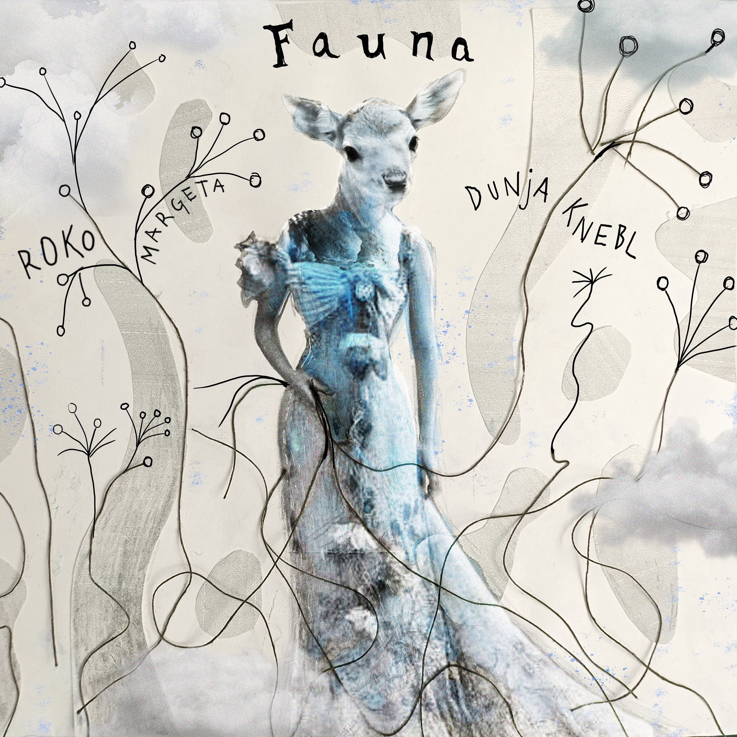 Fauna