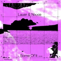 Some Of It - Single - Lauer & Nixxie