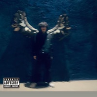 Born to $in (feat. Mikey Rotten) - Single - Cxristxn