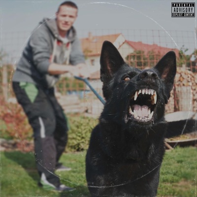 Big Dogs (feat. Woad Venus) - Single