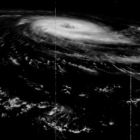 INNY NIZ WSZYSCY - Single - ZBR