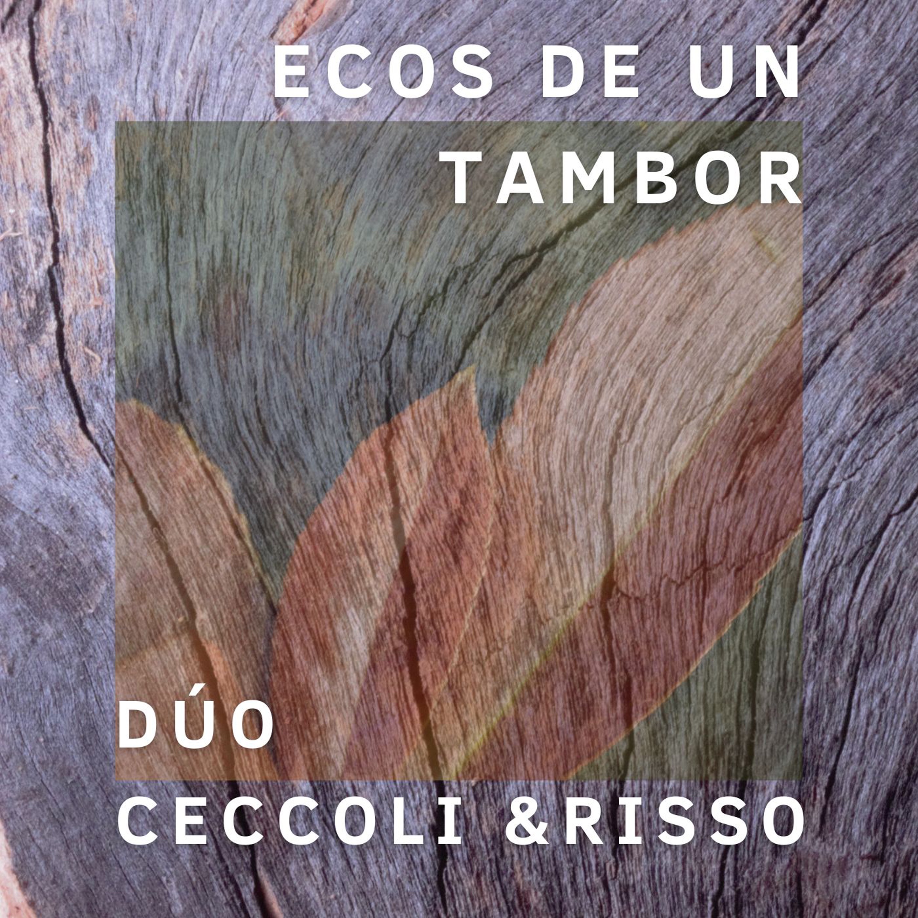 Ecos de un Tambor