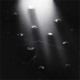 Letzter Versuch Planemo