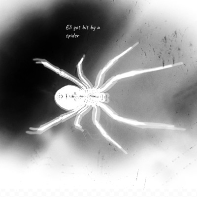 Spider Bite (feat. FJD!?) - Single