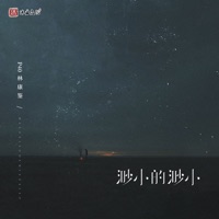 渺小的渺小 - Single - P40林康鉴