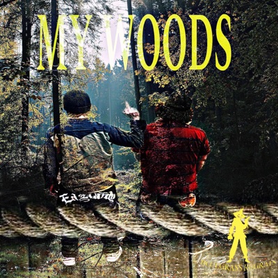 My Woods
