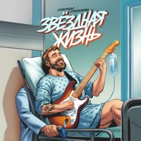 Звёздная жизнь - Single - Скворцы Степанова