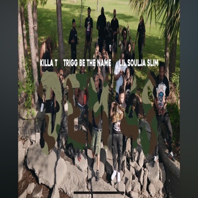 DEM 4s (feat. TRIGG BE THA NAME & LIL SOULJA SLIM) - Single
