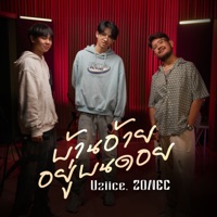 บ้านอ้ายอยู่บนดอย (Live) [feat. Uziice & Zonec] - Single - OneNight