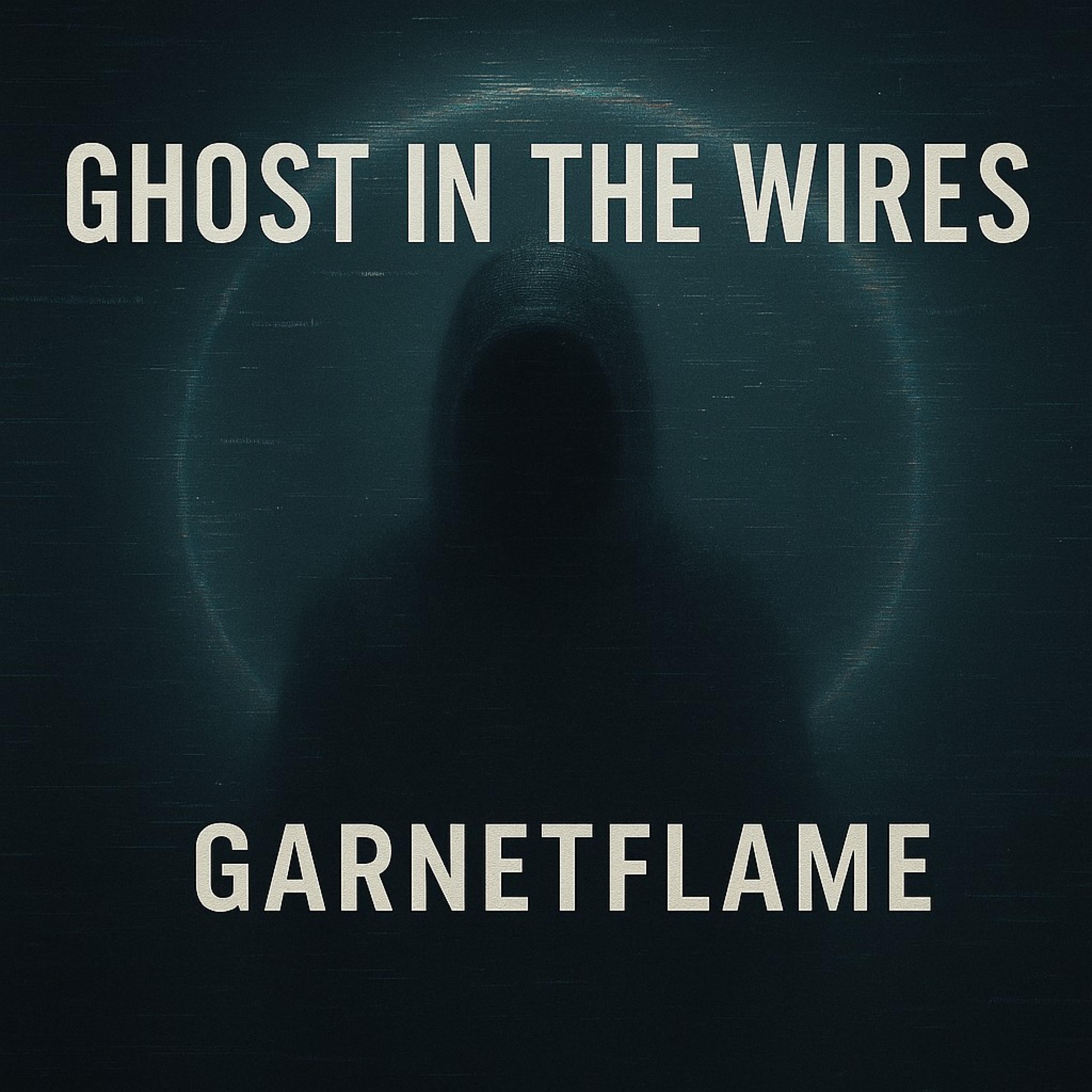 Ghost in the Wires - Single