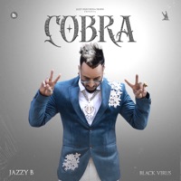 Cobra - EP - Jazzy B & Black Virus