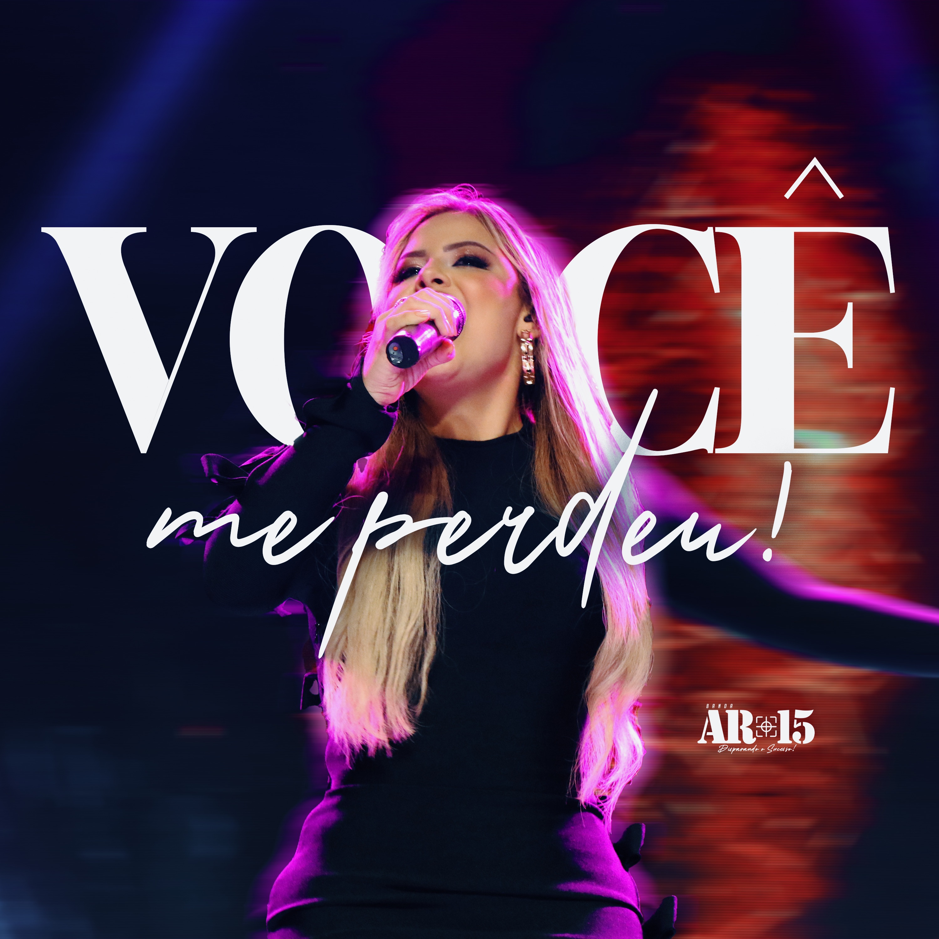 BANDA AR-15 - VOCÊ ME PERDEU ( MELODY 2025 )