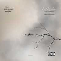 THE DREAM PROJECT - bobbyaino