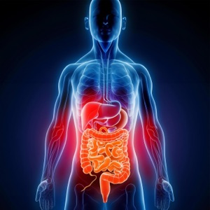 Yoga for Gut Health: Yoga for Digestion, Bloating, Constipation, Gas