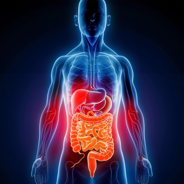Yoga for Gut Health: Yoga for Digestion, Bloating, Constipation, Gas
