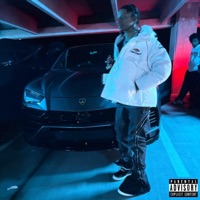 U Aint Neva - Single - Trill K