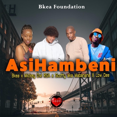 Asihambeni (feat. Low Dee & Mickey owl Rsa) - Single