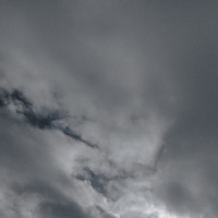 Shadows - Single - nothing to feel