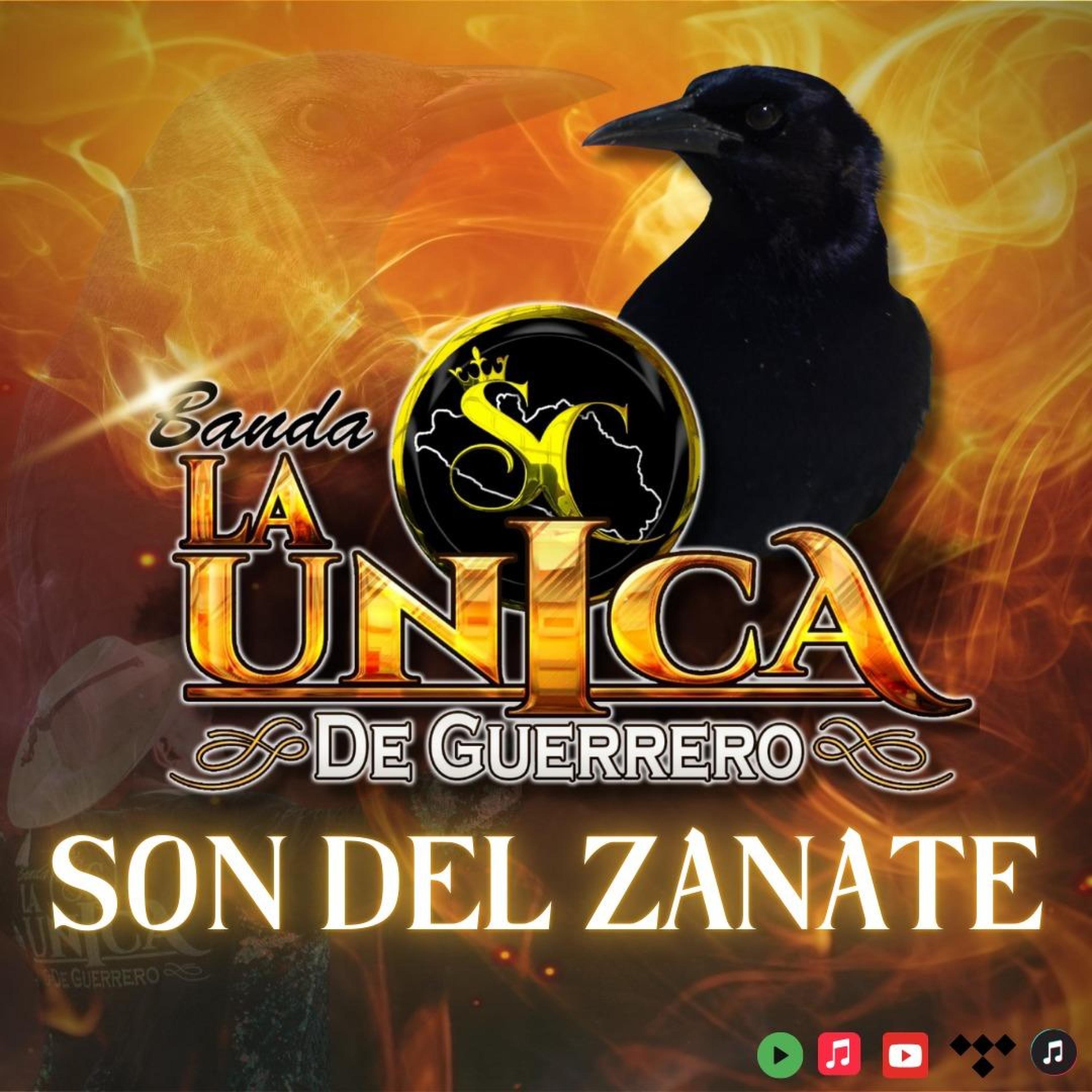 Son del Zanate - Single