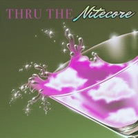thru the nitecore - Single - nelward
