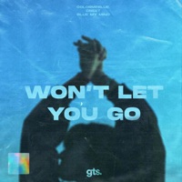 Won't Let You Go (feat. Emma Castellino) - Single - Dbeet, colormeblue. & Blue My Mind