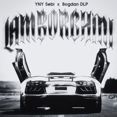 ROxtras - YNY Sebi,Bogdan DLP-Lamborghini (Slowed Version)